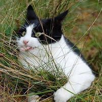 Kathryn Hackett Photo 17