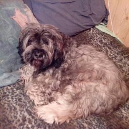 Jean Germain Photo 3