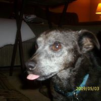 Lori Blake Photo 32