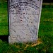 Charles Forsyth Photo 24