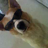 Hunter Swift Photo 2