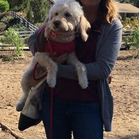 Cheryl Gerhardt Photo 10