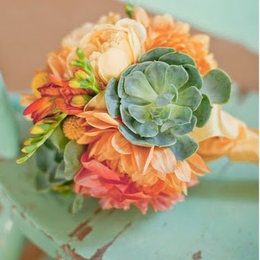 Carla Meyer Photo 34 Carla Meyer Photo 34