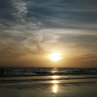 Tammy Sharp Photo 45