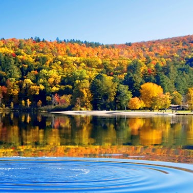 Matthew Geers Photo 1