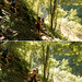 Colleen Dane Photo 12