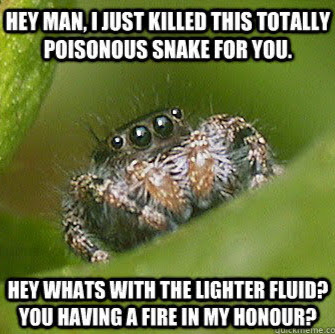 Michael Seely Photo 20