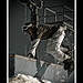 Anthony Mathews Photo 43