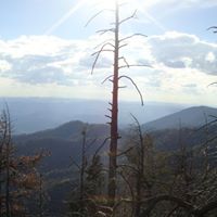 Scott Englund Photo 19