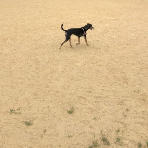 Matthew Herman Photo 27