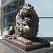 Stephen Feng Photo 25