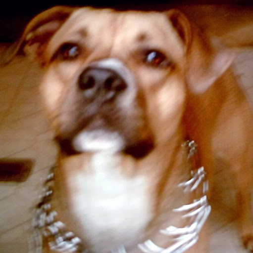 Peggy Lewis Photo 16