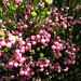 Erica Berry Photo 11