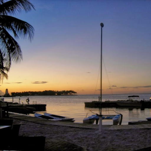 Walter Kurtz Photo 31