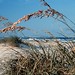 Mary Sands Photo 36