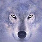 Patricia Barton Photo 26