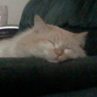 Brian Kenyon Photo 26