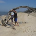 Catherine Higbee Photo 10