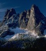 Howard Rose Photo 47