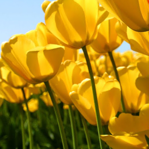 Wanda Patterson Photo 16