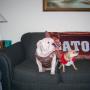 Carole Taylor Photo 19