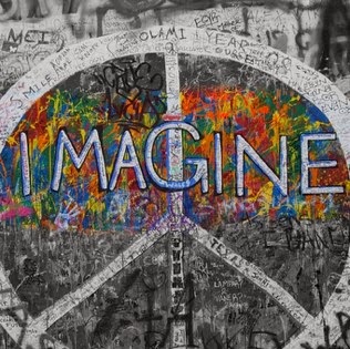 Kellie Cook Photo 19