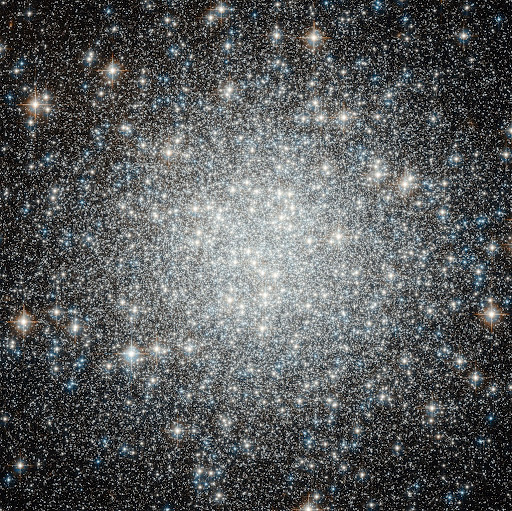 Stephen Daly Photo 23