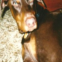 Joyce Webster Photo 16