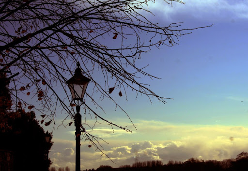 Amy Gilmore Photo 40