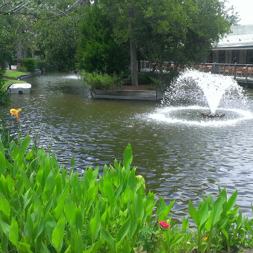 Danny Schofield Photo 14