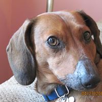 Janice Sears Photo 14