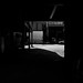 Luz Romero Photo 43