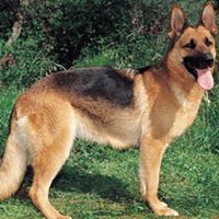 Alyssa Hopkins Photo 29