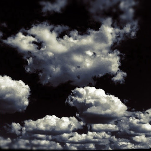 Stewart Armstrong Photo 11