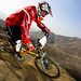 Cal Craig Photo 8