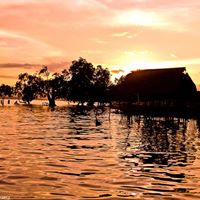 Roger Salter Photo 11