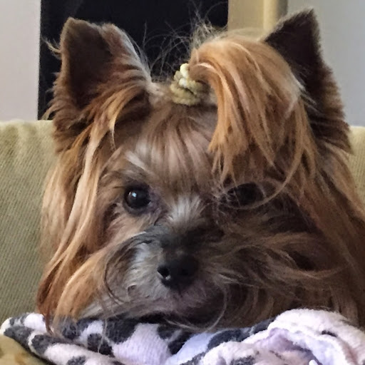 David Gilmore Photo 11 David Gilmore Photo 11