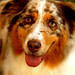 Wayne Eggleston Photo 10