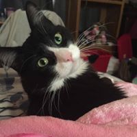 Robin Healey Photo 15