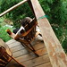 Amanda Hogan Photo 34