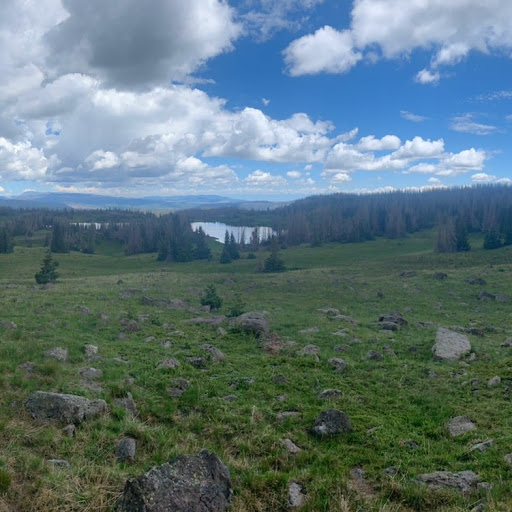 Benjamin Harvey Photo 16