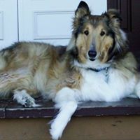 Jeanne Webb Photo 30