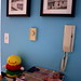 Jane Greenfield Photo 22