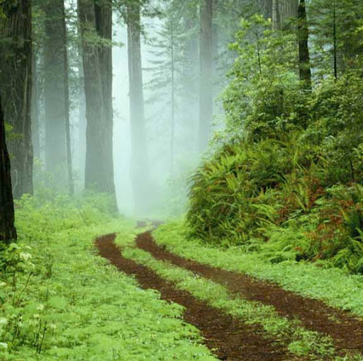 Marilyn Merritt Photo 18