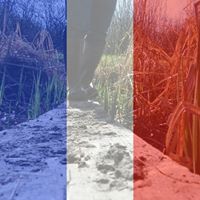 Kevin Pickering Photo 27