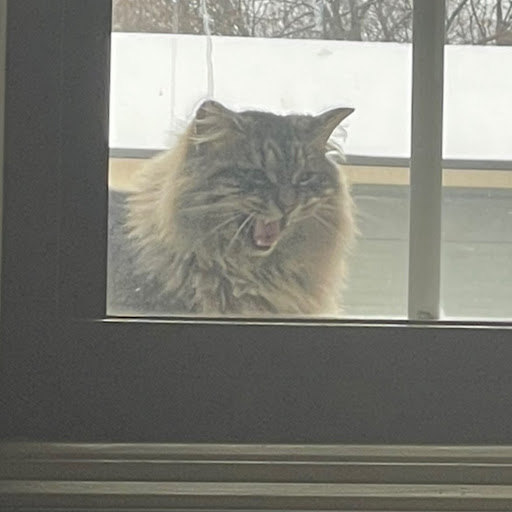 Harry Hedges Photo 8