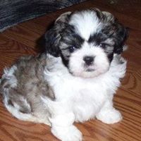 Margie Smith Photo 20