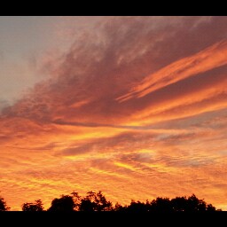 Joseph Paris Photo 38