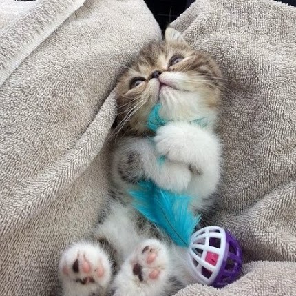 Monica Verma Photo 17