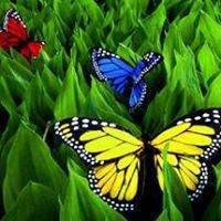 Elizabeth George Photo 50